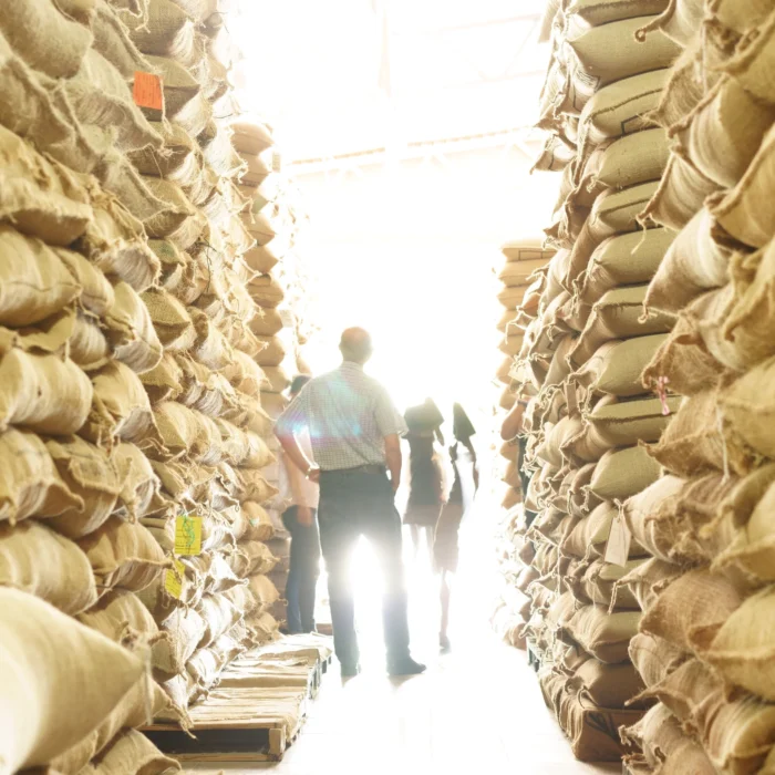 El Sunzita Drop Coffee 3